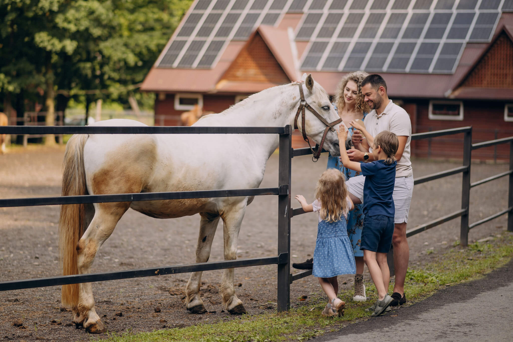 Семья на пикнике